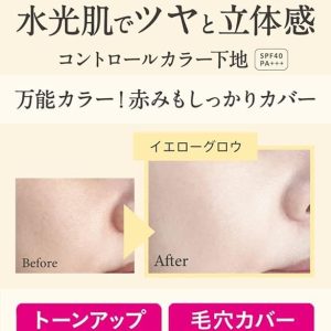 Moist Labo Control Color Base